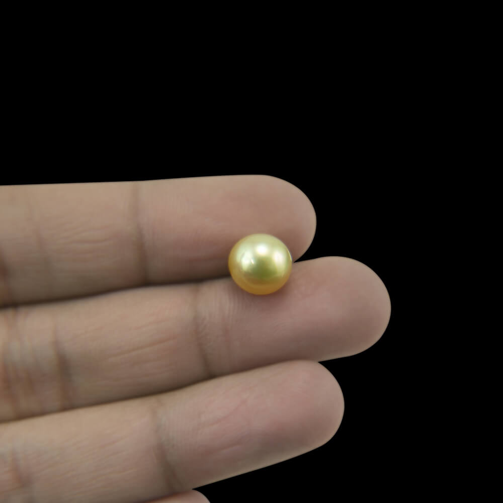 Golden South Sea Pearl - 4.87 Carat