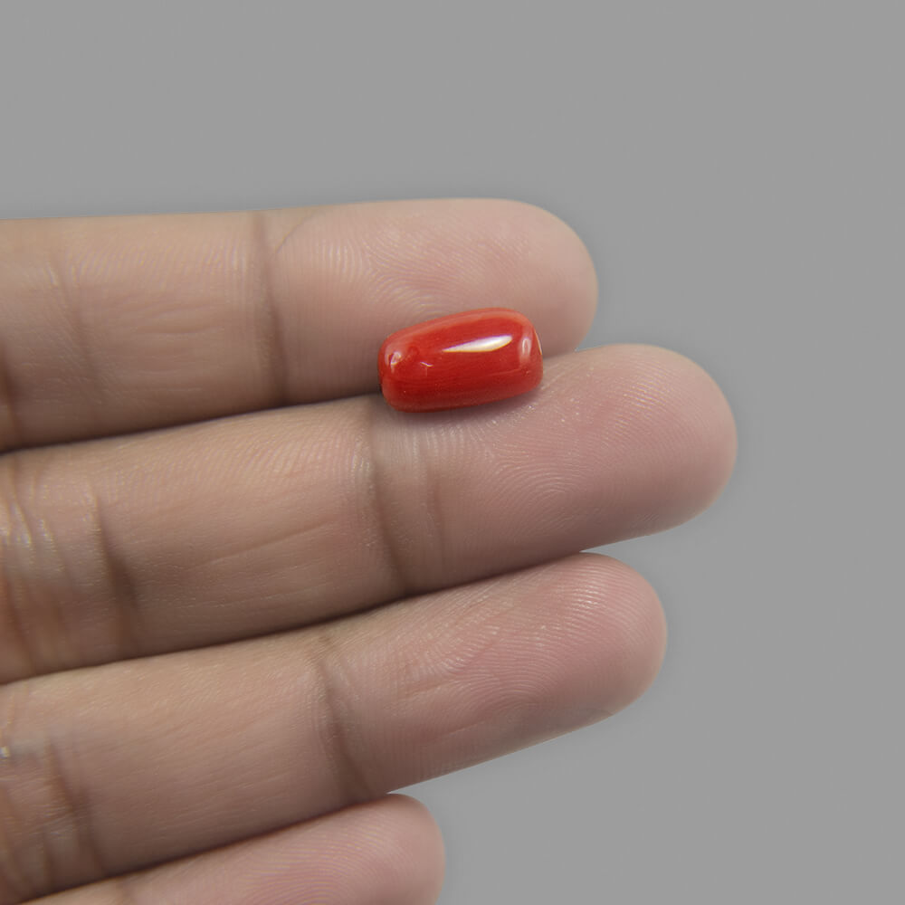 Red Coral - 5.71 Carat
