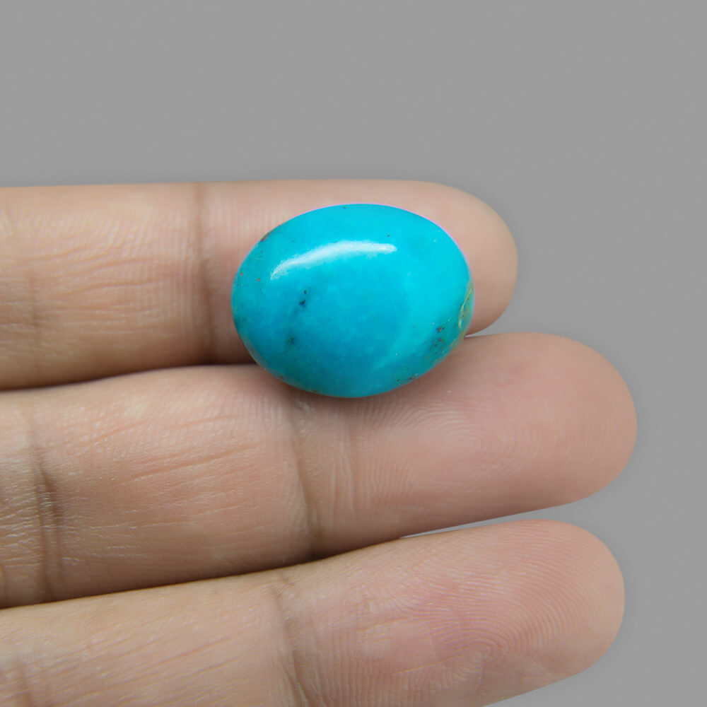 Turquoise (Firoza) - 20.79 Carat