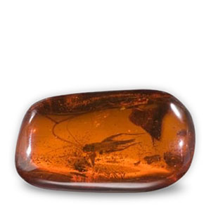 Amber
