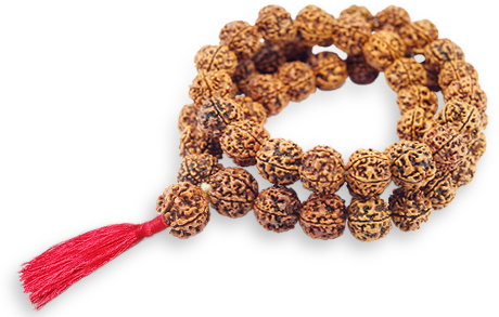 1 to 14 Mukhi Rudraksha Siddha Mala