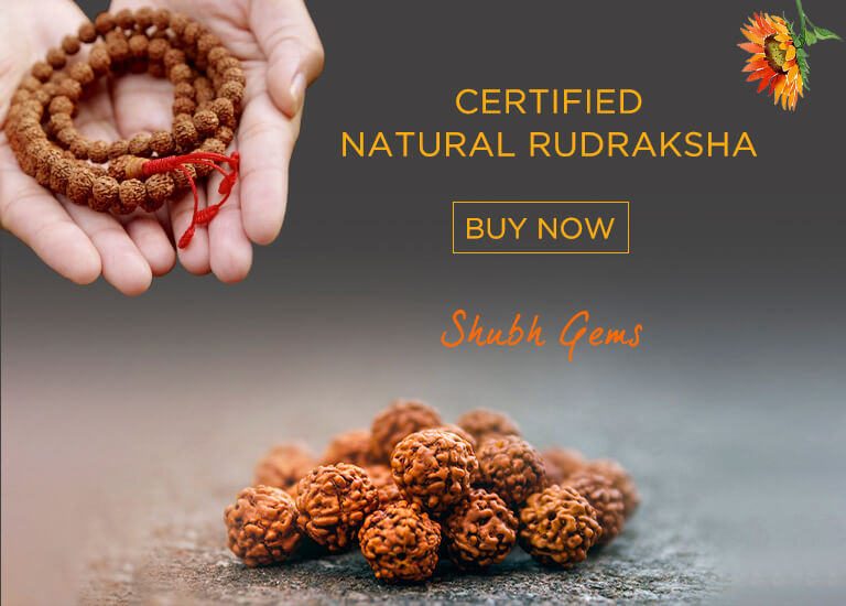 Certified Rudraksha