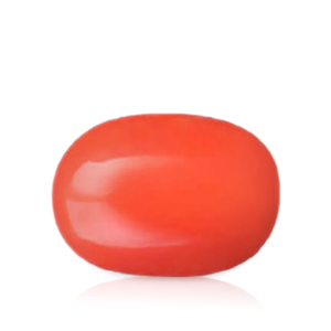 Buy Red Coral Gemstone